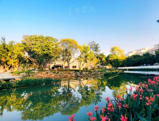 原来名称也丢了