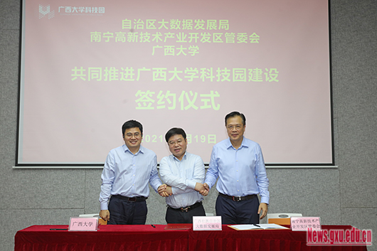 原来名称也丢了