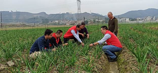 我校唐小付老师获2022年广西“最美科技工作者”称号