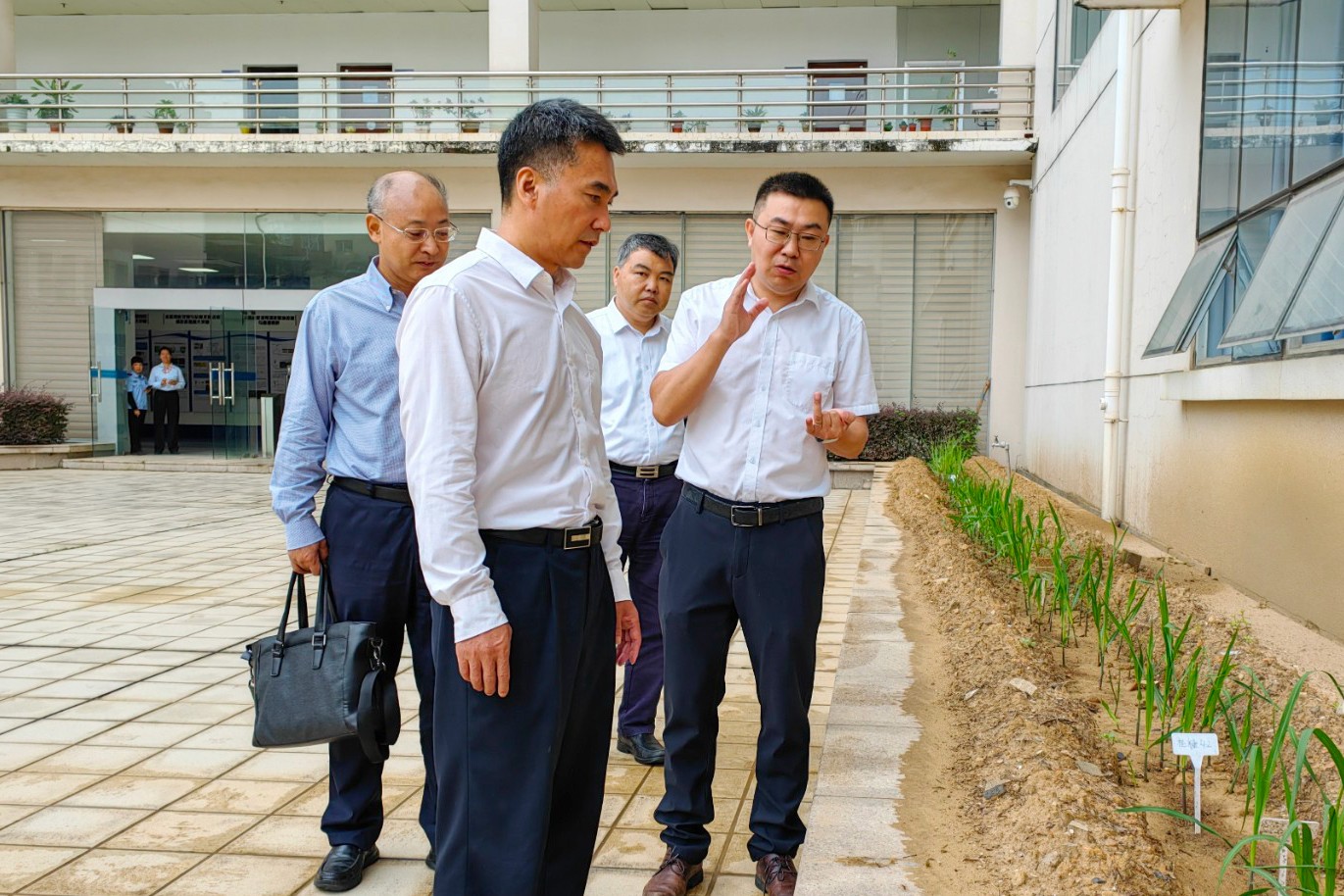 王乃学一行调研实验室甘蔗景观种植情况.jpg