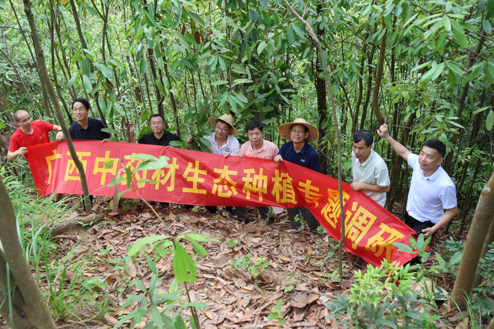 我校组织完成广西中药材生态种植专题调研